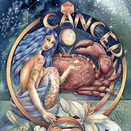 ui.image_alt.dashboard.zodiac